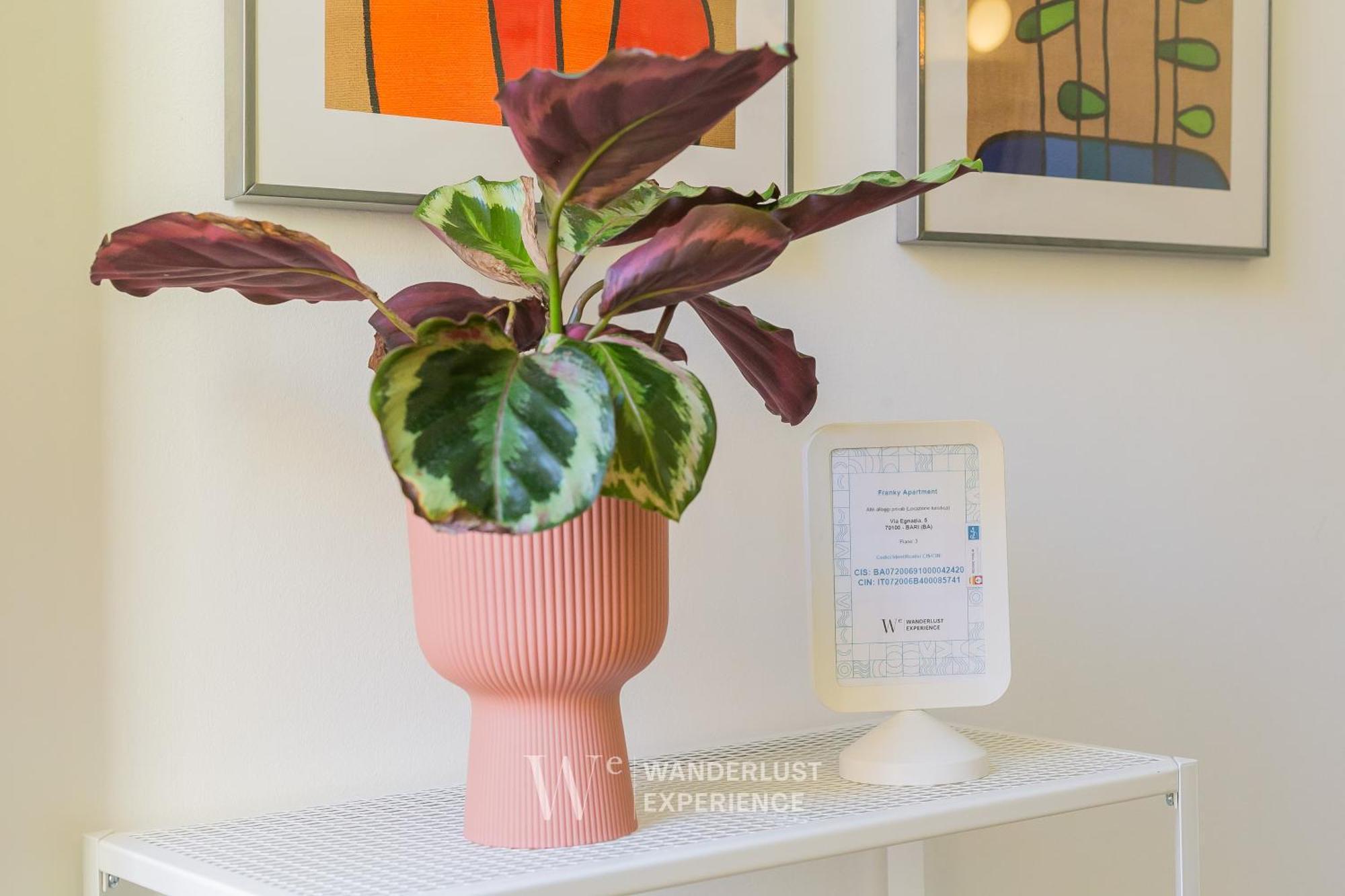 Wanderlust Experience Frankly Apartment Bari Exterior foto